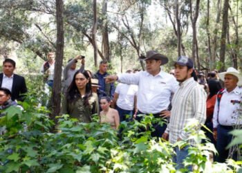 “Sueño con ver a Puebla como una zona verde y sin corrupción”: Alejandro Armenta