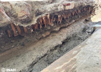 Salvamento arqueológico recupera, en tiestos y restos materiales, 500 años de historia veracruzana