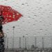 EL SENTIDO MARAVILLOSO DE LAS LLUVIAS
