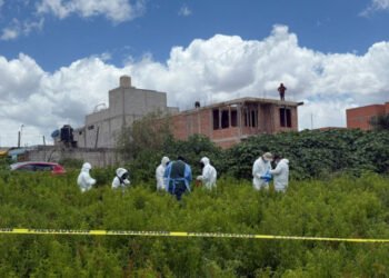 Puebla se coloca como ejemplo a nivel nacional en investigación de delitos contra los animales al realizar la primera exhumación de canideo en la capital poblana.