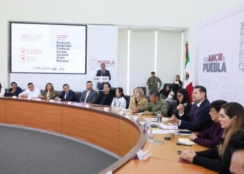 Territorio seguro con aplicación de la ley: Armenta