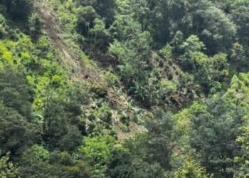 Deslizamiento de tierra en Chiconcuautla deja una persona fallecida