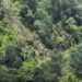 Deslizamiento de tierra en Chiconcuautla deja una persona fallecida