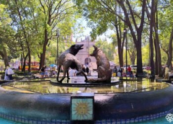 Fósiles, cine y arte moderno, los temas de agosto en los Paseos Culturales INAH