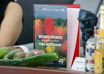 UTH entregó a IMPI estudio para Indicación Geográfica de tuna de Acatzingo