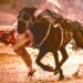A través de la fotografía, Mongolia llega por primera vez al Museo Nacional de las Culturas del Mundo