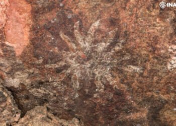 El INAH emite dictamen sobre autenticidad de las pinturas rupestres del Cañón de las Manitas, en Tehuacán, Puebla