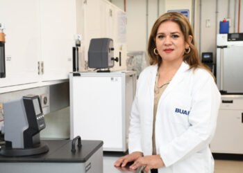 Desarrollan productos con compuestos bioactivos a partir de la planta Tecoma stans, para prevenir diabetes
