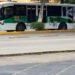 Vandalismo en unidades de RUTA Línea 3 afecta servicio