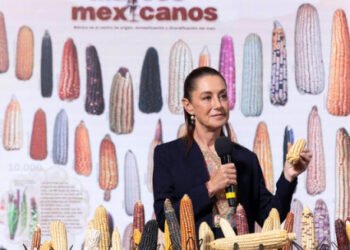 Presidenta Claudia Sheinbaum anuncia programa “Sin maíz no hay país” para producir con bienestar