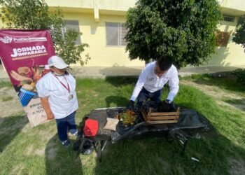 Continua Gobierno de la Ciudad fortaleciendo el compromiso por escuelas sustentables