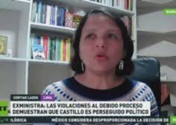 “No podemos tapar el sol con un dedo”: Exministra peruana dice que Pedro Castillo es un perseguido político