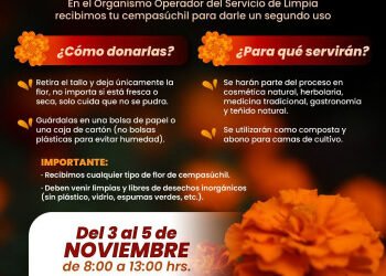Abre Gobierno de la Ciudad centro de acopio para aprovechamiento de flor de cempasúchil
