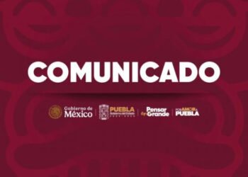Instituto de Bienestar Animal se pronuncia en favor de los seres sintientes de Chignahuapan
