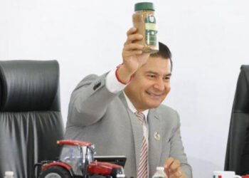 Gobierno Estatal reactivará 200 mil hectáreas de campo poblano en 2026