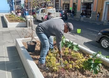 Gobierno de Pepe Chedraui impulsa el mantenimiento integral en la Plazuela Sor Juana Inés de la Cruz