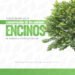 Trabaja BUAP para la conservación de encinos en México y América Central