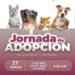Gobierno de Pepe Chedraui invita a participar en las Jornadas de Adopción de Gatitos y Perritos
