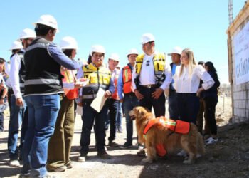 Con enfoque humanista, Célula de Bienestar Animal registra avance del 38 por ciento