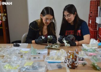 Analizan y clasifican materiales recuperados en la construcción del Tren Maya