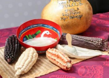 San Mateo Ozolco alista la Feria del Pulque 2026
