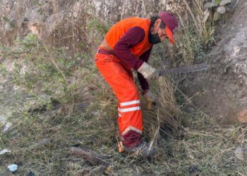 Gobierno de Pepe Chedraui fortalece la imagen urbana con intervención en Bulevar Carmelitas