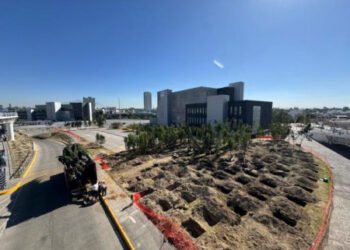 Inicia reforestación urbana en CIS y Parque Ecológico; la meta son 10 mil árboles