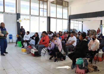 Pepe Chedraui impulsa el bienestar animal en Puebla con más de 8 mil acciones durante febrero