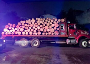 Detienen fuerzas de seguridad a dos hombres por daños al medio ambiente