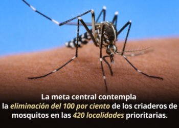 Se llevará a cabo la 1ª Jornada Nacional de lucha contra el Chikungunya y el Dengue 2026