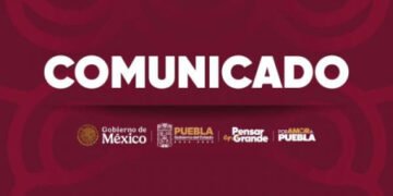 Bienestar Animal condena enérgicamente agresión de 7 caninos en Huejotzingo