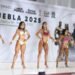 Puebla recibirá el Mr. México Juvenil y Veteranos 2026