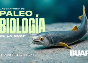 Laboratorio de Paleobiología de la BUAP, evidencia de vida del pasado para interpretar el presente y vislumbrar un futuro