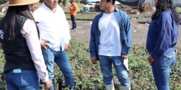 Con respuesta inmediata, Gobierno de Puebla atiende afectaciones por granizada en Atlixco