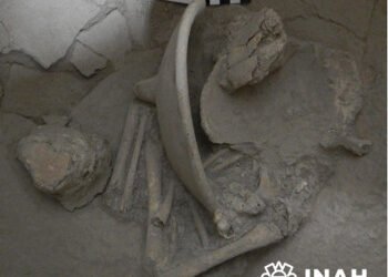 Estudian urnas funerarias de Cansacbé, Campeche, recuperadas en el salvamento arqueológico del tren maya