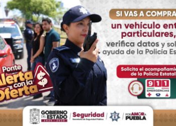 Programa “Alerta con la oferta” brinda protección durante la compra-venta de vehículos
