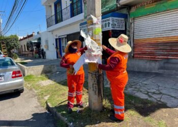 Implementa Gobierno de Pepe Chedraui estrategia para fortalecer la limpieza urbana en Cúmulo de Virgo