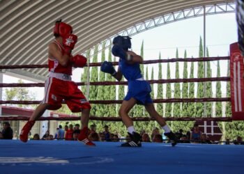 Gobierno de Pepe Chedraui desarrolla la sexta y séptima función del Torneo de Barrios de Box 2026