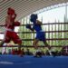 Gobierno de Pepe Chedraui desarrolla la sexta y séptima función del Torneo de Barrios de Box 2026