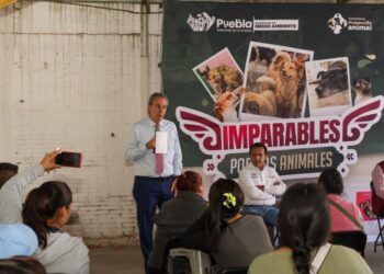 Pepe Chedraui acerca servicios gratuitos de bienestar animal a San Pablo Xochimehuacan