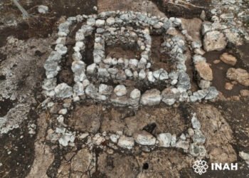 Preservan posible altar maya descubierto en salvamento arqueológico del Tren Maya de carga