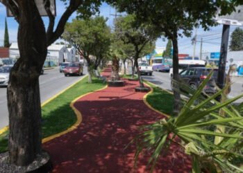 Paseo de Campeonas y Campeones honra el legado deportivo y transforma espacios públicos