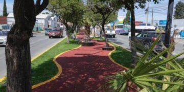 Paseo de Campeonas y Campeones honra el legado deportivo y transforma espacios públicos