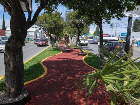 Paseo de Campeonas y Campeones honra el legado deportivo y transforma espacios públicos