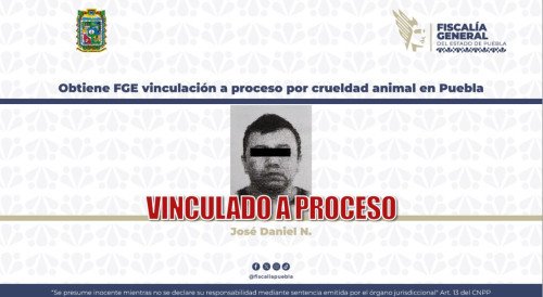 Obtiene FGE vinculación a proceso por crueldad animal en Puebla