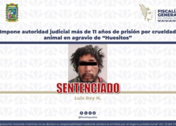 Impone autoridad judicial más de 11 años de prisión por crueldad animal en agravio de “Huesitos”