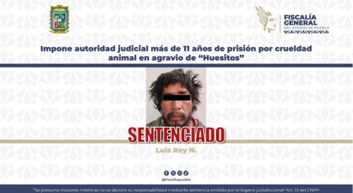 Impone autoridad judicial más de 11 años de prisión por crueldad animal en agravio de “Huesitos”