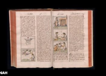 Las cartas de Cortés, los discursos ante el Santo Oficio y otros documentos, a disección en Coloquio Internacional