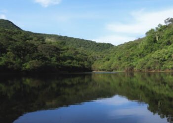 Respalda diputado Pável Gaspar proyectos de ecoturismo y desarrollo sustentable en la Mixteca poblana