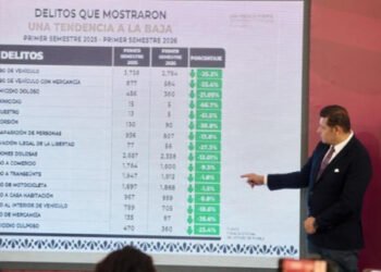 Con inteligencia y estrategia, Gobierno Estatal desmantela producción de estupefacientes en Sierra Norte
